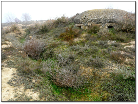 La línia del Cinca_Posició Selgua